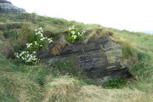 The lair of Grettir, the famous antihero and outlaw featured in the Saga of Grettir.