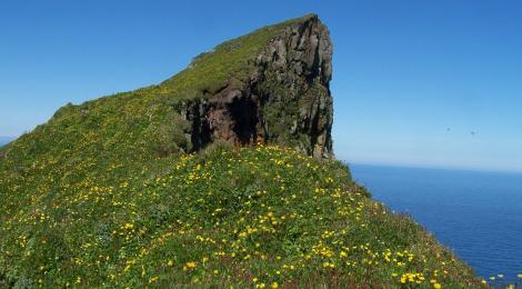 The edge of Hornbjarg cliff. It´s a long way down. 