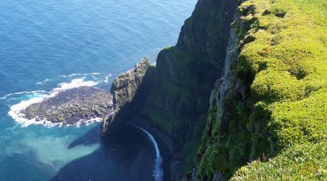 The cliffs at Hornstrandir are simply massive. 