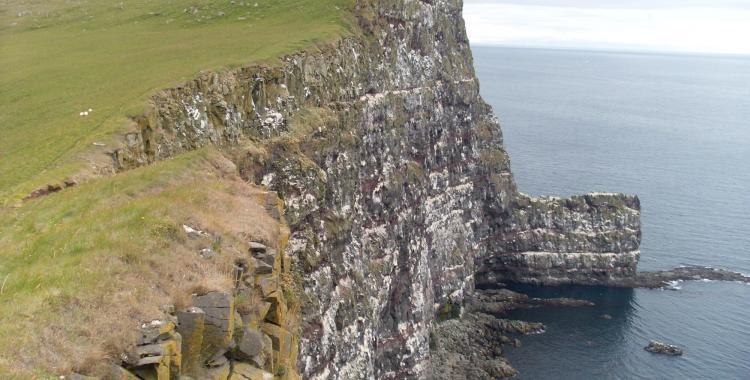 The Latrabjarg Cliff in all of its glory.