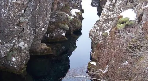 One popular activity in Thingvellir is diving into the water filled crevices. It is reportedly a thrill to dive in the clear water but be careful as there have been some accidents lately. One popular activity in Thingvellir is diving into the water filled crevices. It is reportedly a thrill to dive in the clear water but be careful as there have been some accidents lately.