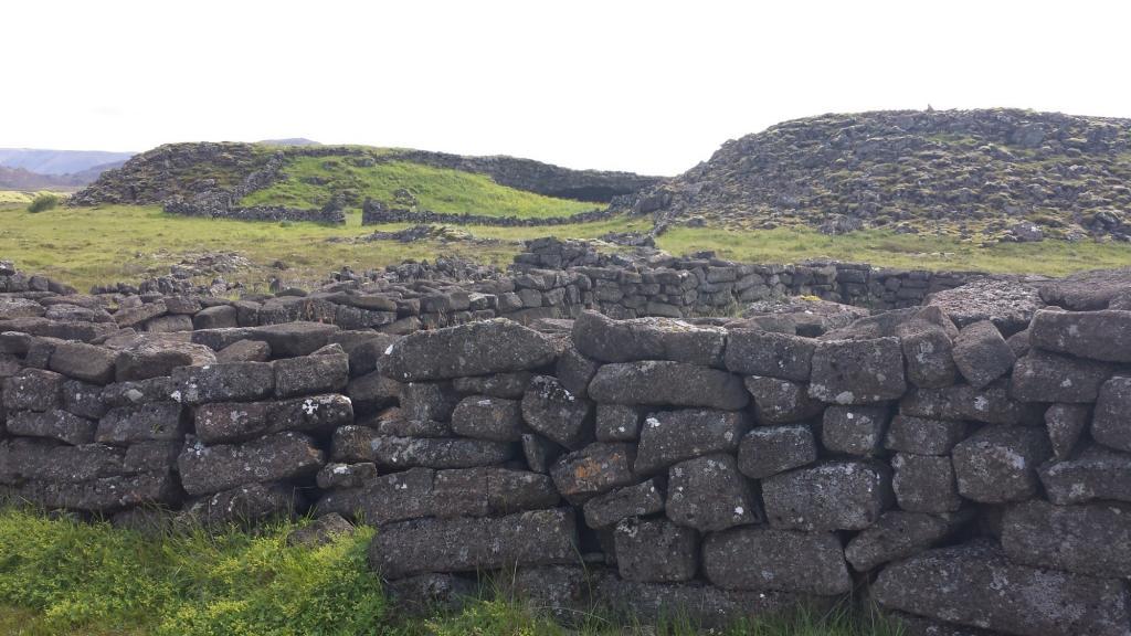 Sheep enclosures. I had to fit that in somewhere.