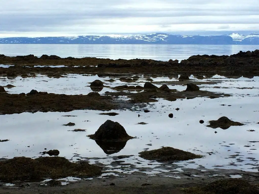 Blue and Wintry View (photo credit: Tor Bilski)