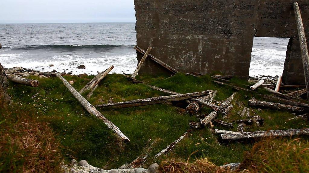 Driftwood in the Langanes peninsula in the northeast of Iceland. 