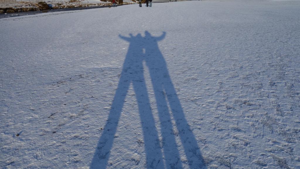 Long shadows in winter sun.