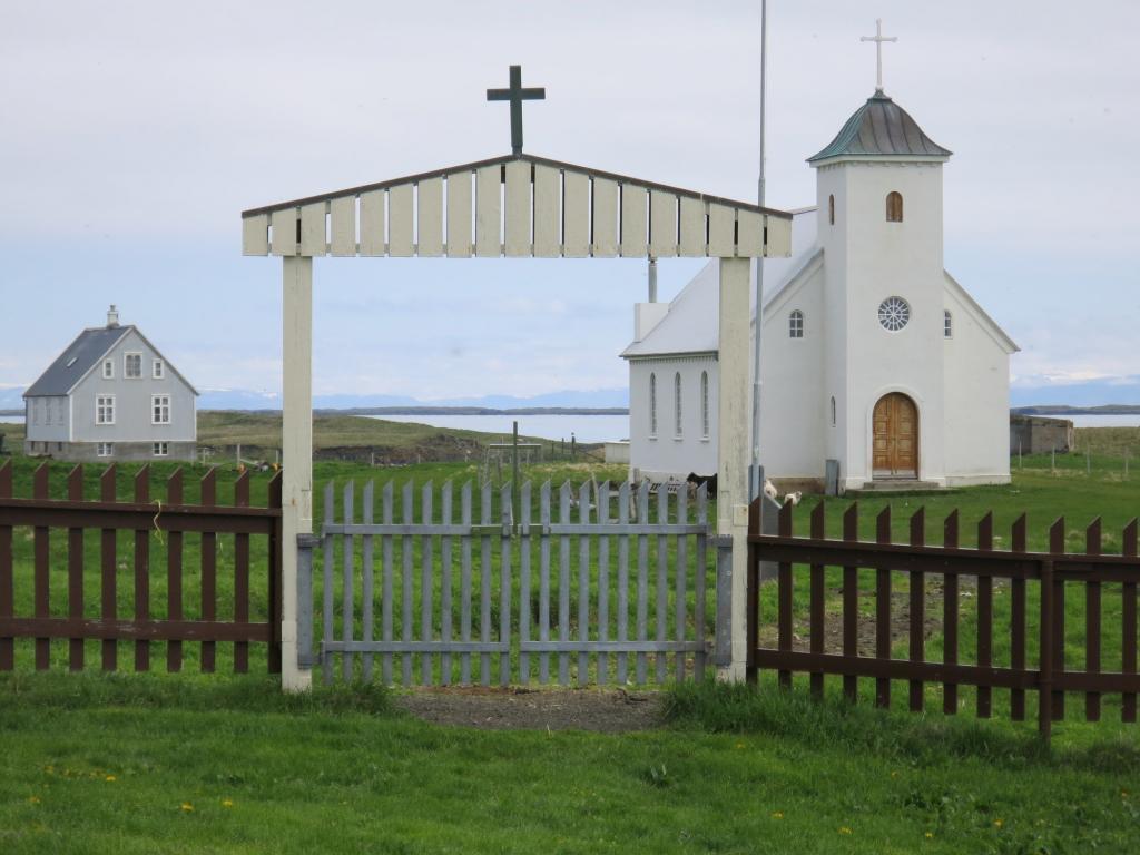 Church going sheep. 