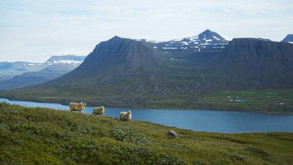 The Icelandic countryside and the weather is perfect. 