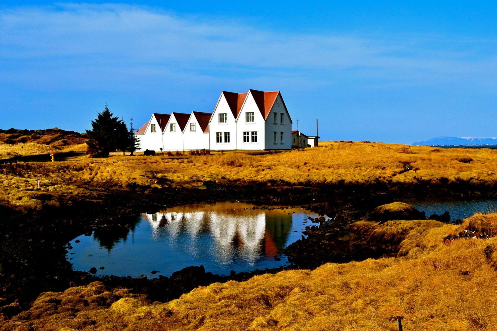 Top 5 Places to Visit in the Reykjavik Capital Area Outside of Downtown!