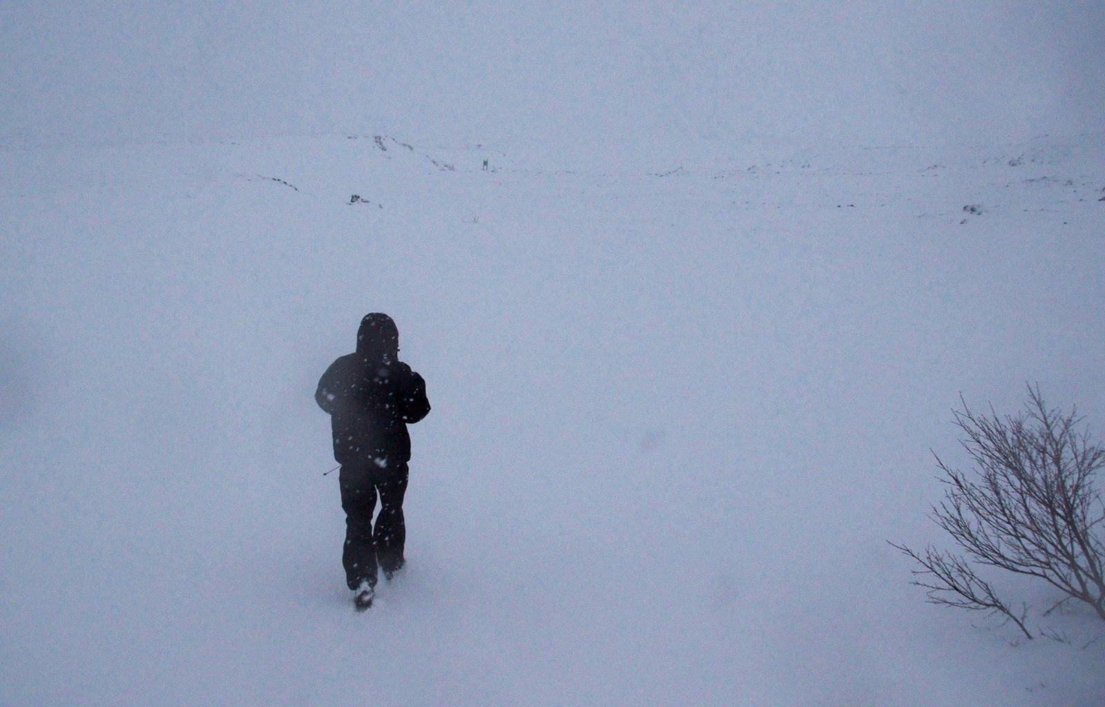 Magnus was walking fast in a place where the snow covered every inch of the land.