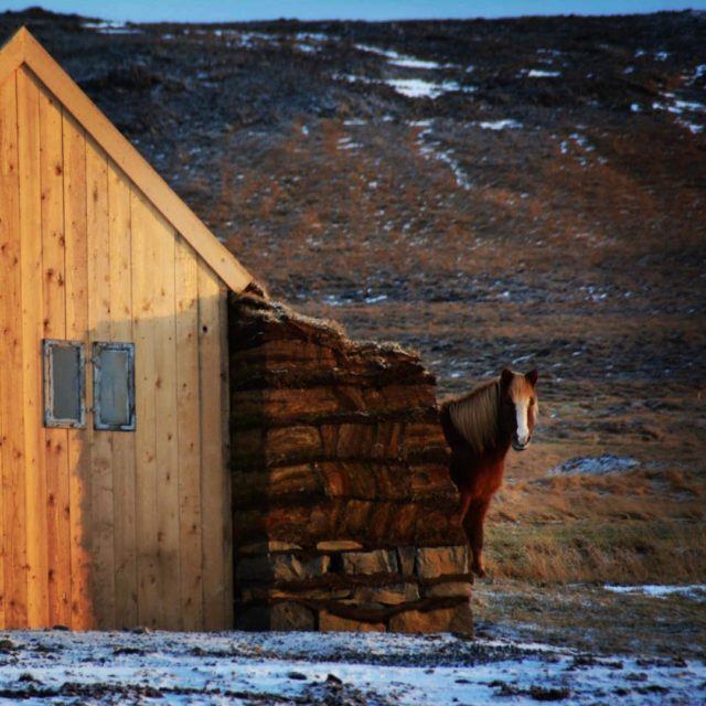 Turf stable.