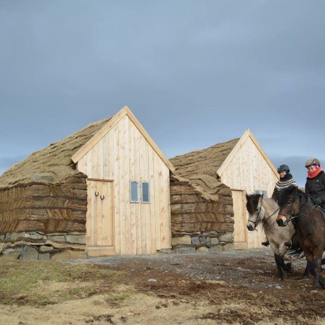 Two ladies ride on Icelandic horses in front of a turf stable. 