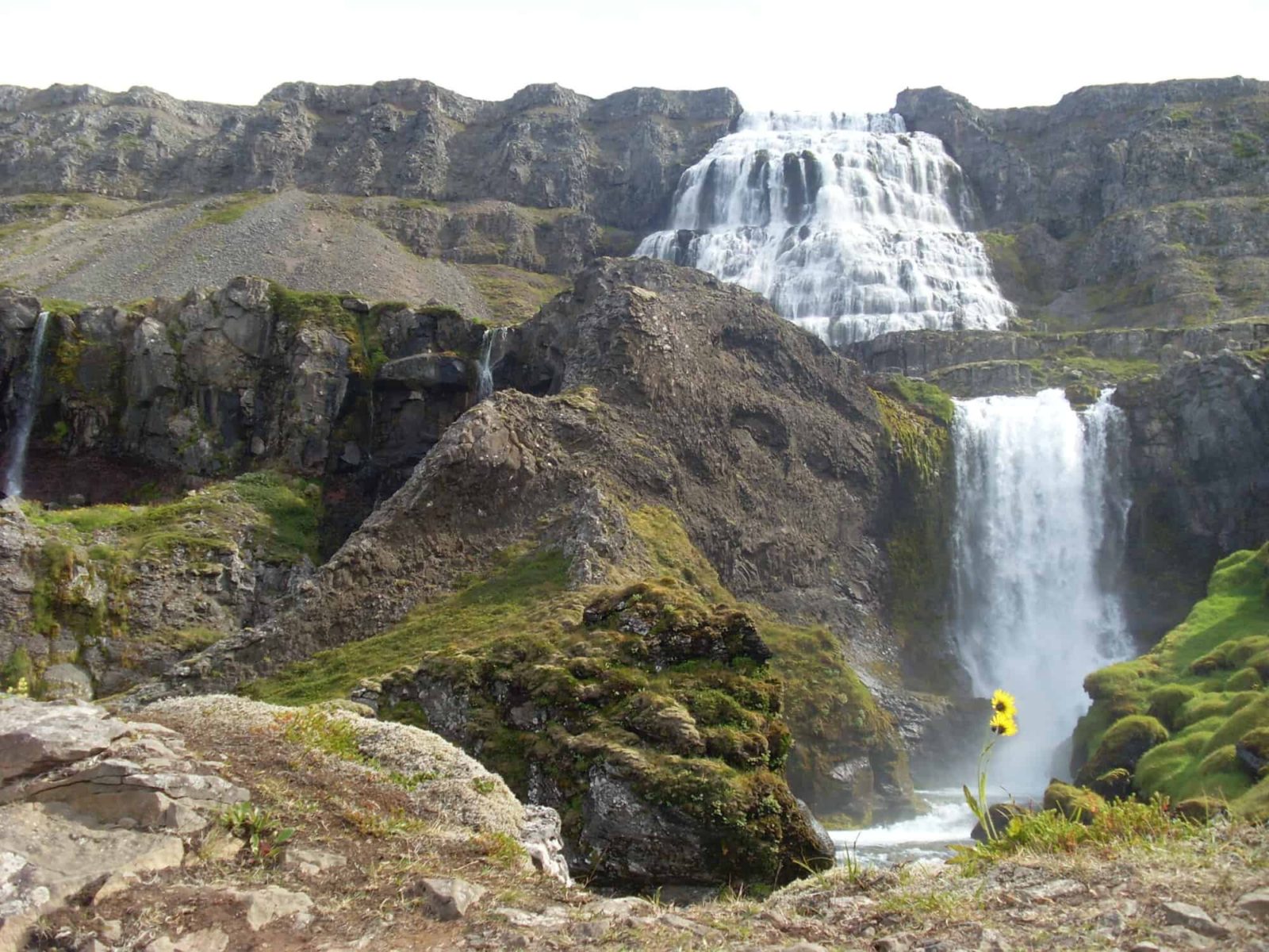 Dynjandi Waterfall in all of its glory in high sumer.