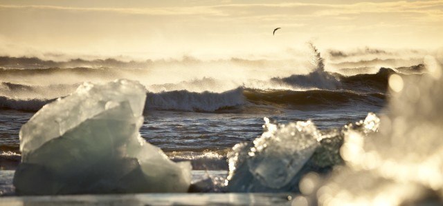 The diamond beach across the road from the glacial lagoon on the south coast of Iceland.