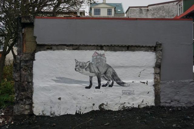 Graffiti in Reykjavik showing two foxes.