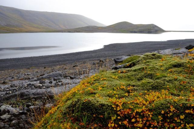 Lake Kleifarvatn in the South West of Iceland. 