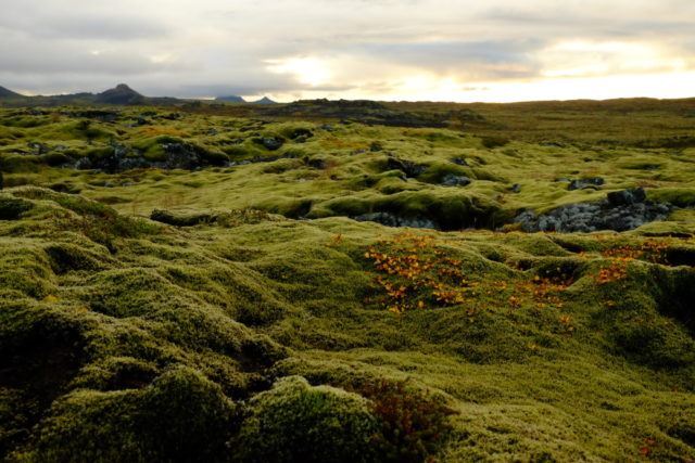 The serenity of the Reykjanes peninsula in South West Iceland is a far cry from Kuala Lumpur.