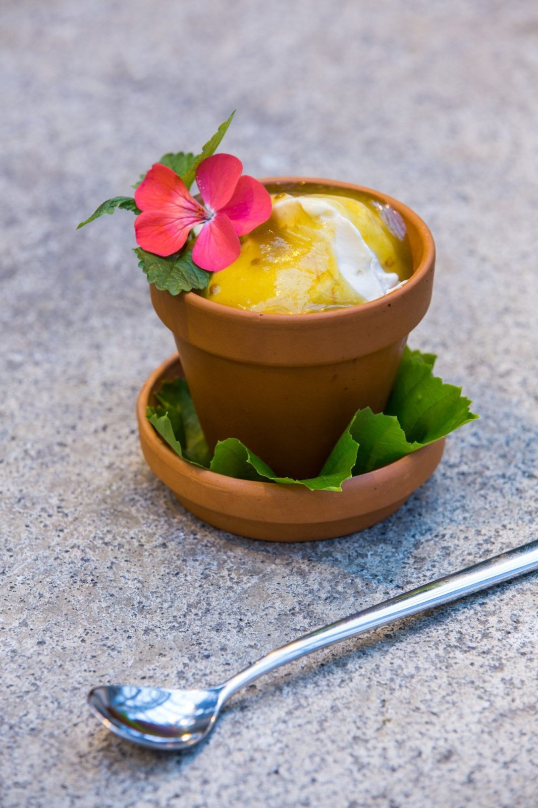 Tomato based dessert at Friðheimar restaurant in Iceland.