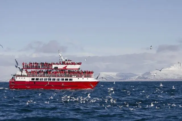 Boat from Elding whale watching company in Iceland. Take advantage of their whale watching offer in Iceland