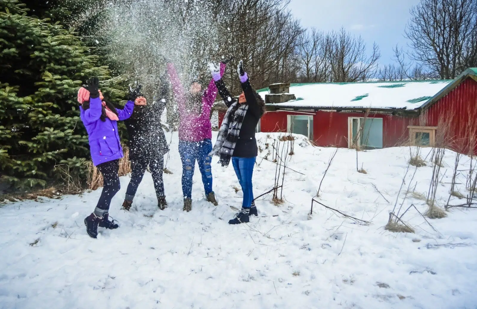 Snowball fight in Iceland