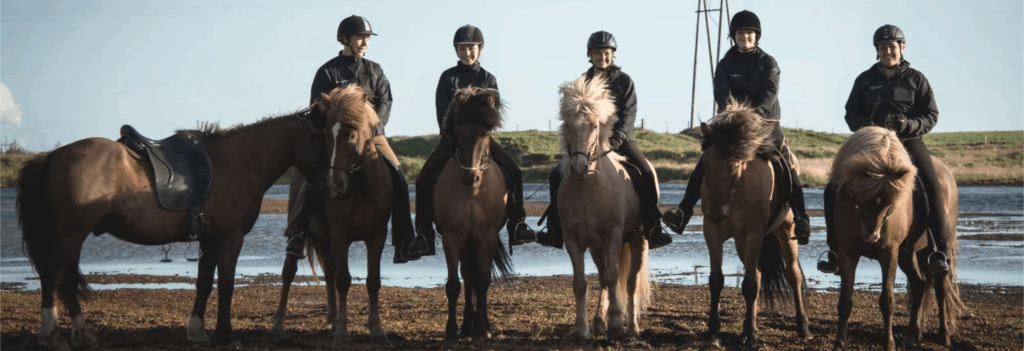 Get 10% off top rated horseback riding in Iceland