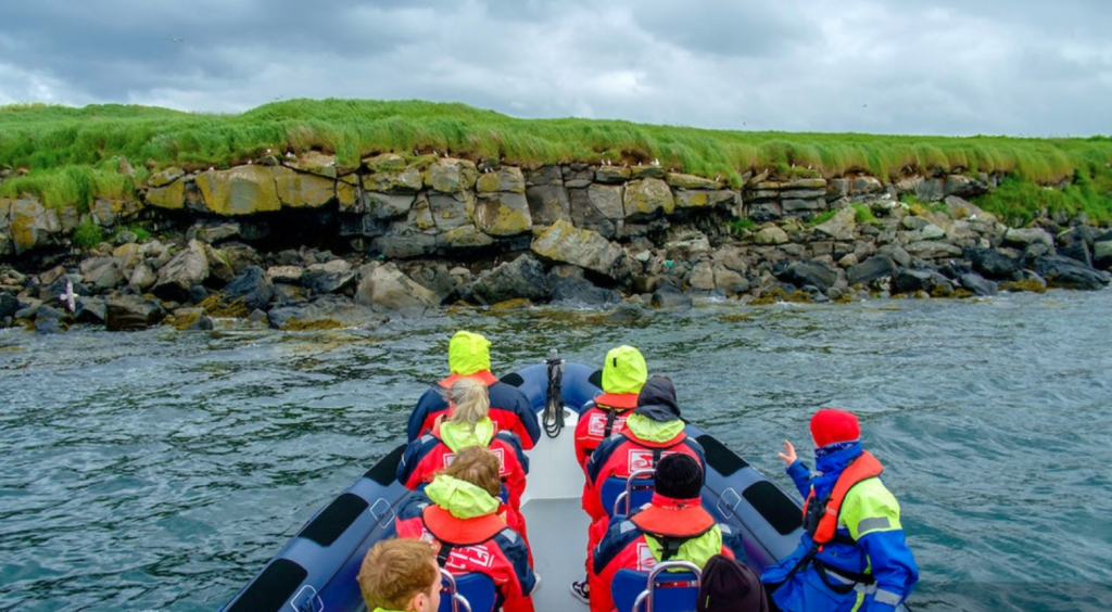 Getting close to the puffins in Iceland