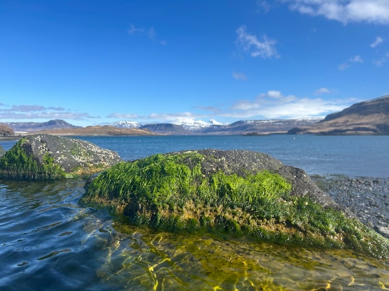 The beautiful view of Hvalfjördur Fjord from Hvammsvík Hot Springs