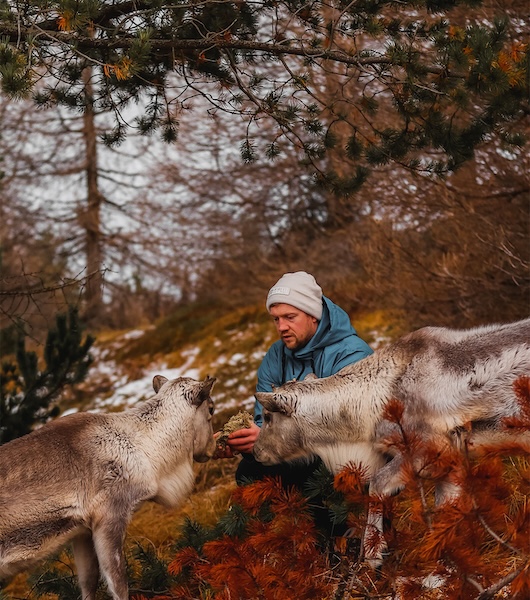 The reindeer at Vínland. Photo by Fannar Magg.