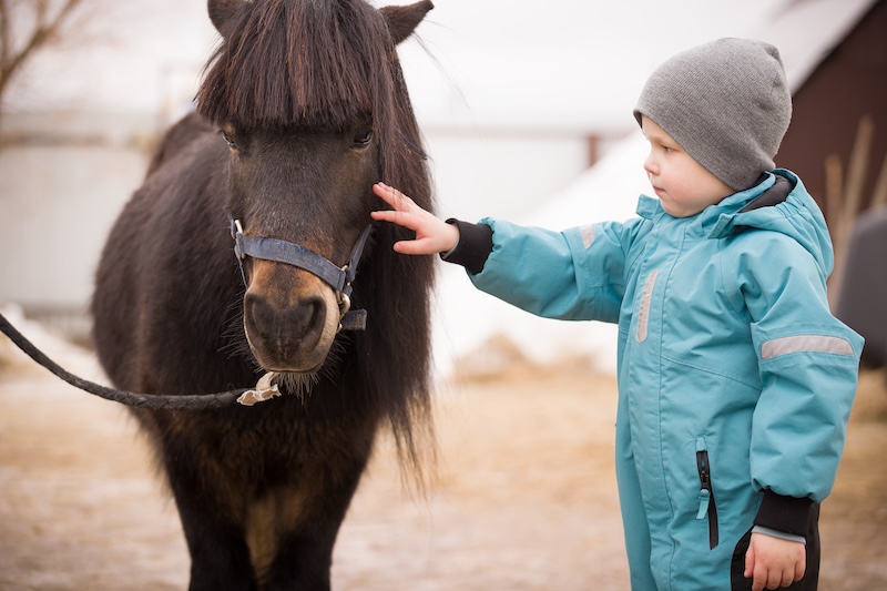 One happy kid petting an Icelandic horse.