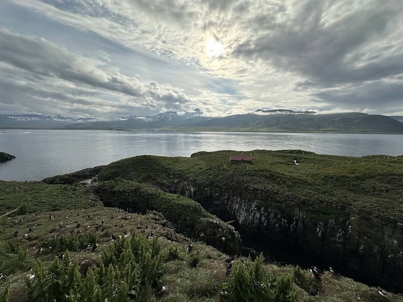 I need to go back to Borgarfjörður Eystri, is is truly a remarkable place.