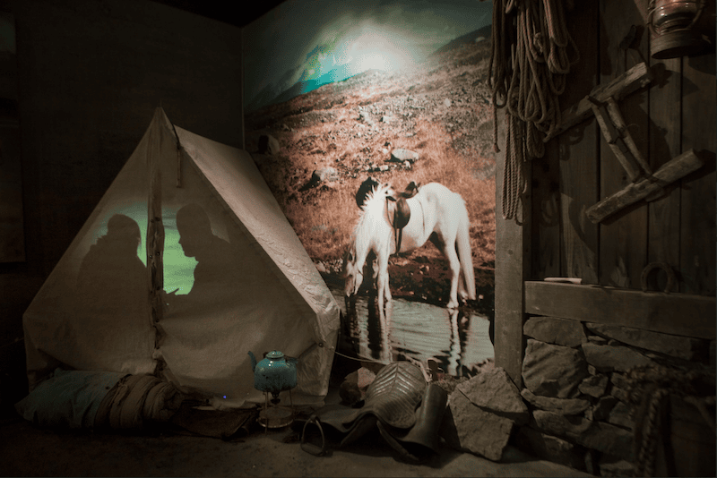 The compelling exhibition at the Iceland Wilderness Center