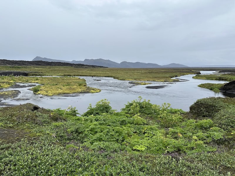 The rivers of Hvannalindir breathe life into the oasis.